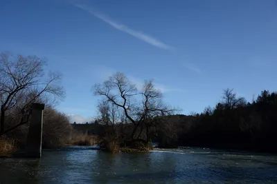 DSC_1094 (Large).JPG